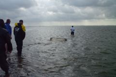 9-Krabbenfischen_7_Jul_2011.jpg