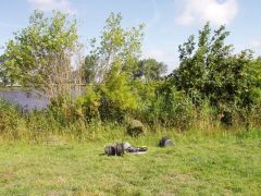 Nachtangeln_2009_60.jpg