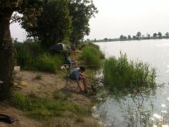 Nachtangeln_2010_24.jpg