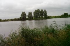 105-Nachtangeln-2011.jpg