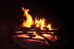 144-Nachtangeln-2011.jpg