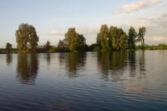 209-Nachtangeln-2013.jpg