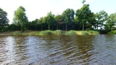 Nachtangeln_2015_146.jpg