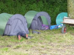 2017-Nachtangeln-119.jpg