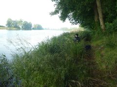 P1010041.JPG