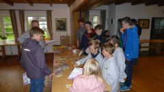 Sommerfest_2015_22.jpg