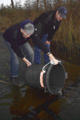 109-zanderbesatz_31_okt_2011.jpg