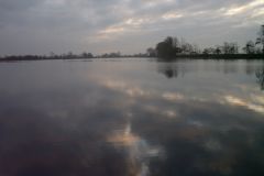 111-zanderbesatz_31_okt_2011.jpg