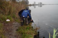 112-zanderbesatz_31_okt_2011.jpg